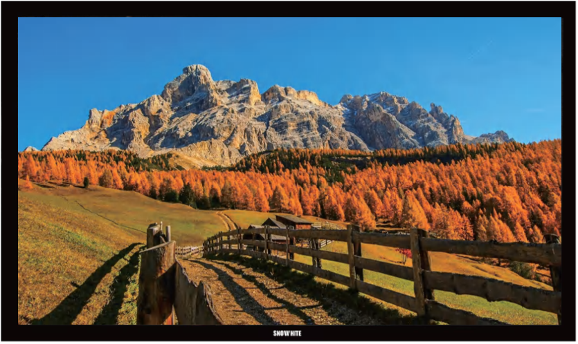 MAZL SELECTION Ecran de projection Fixe 4K Transonore 133" 16:9